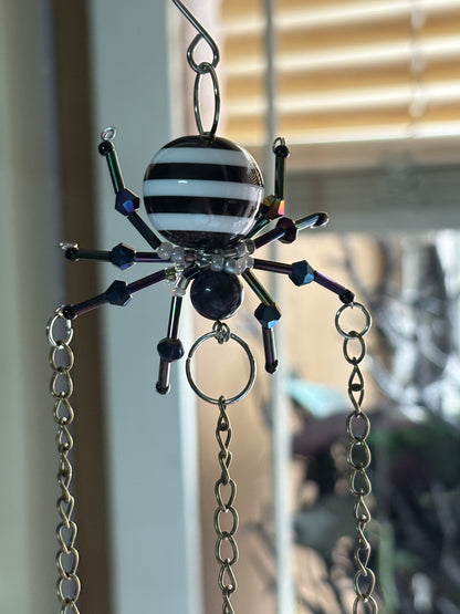Jumper Spiders