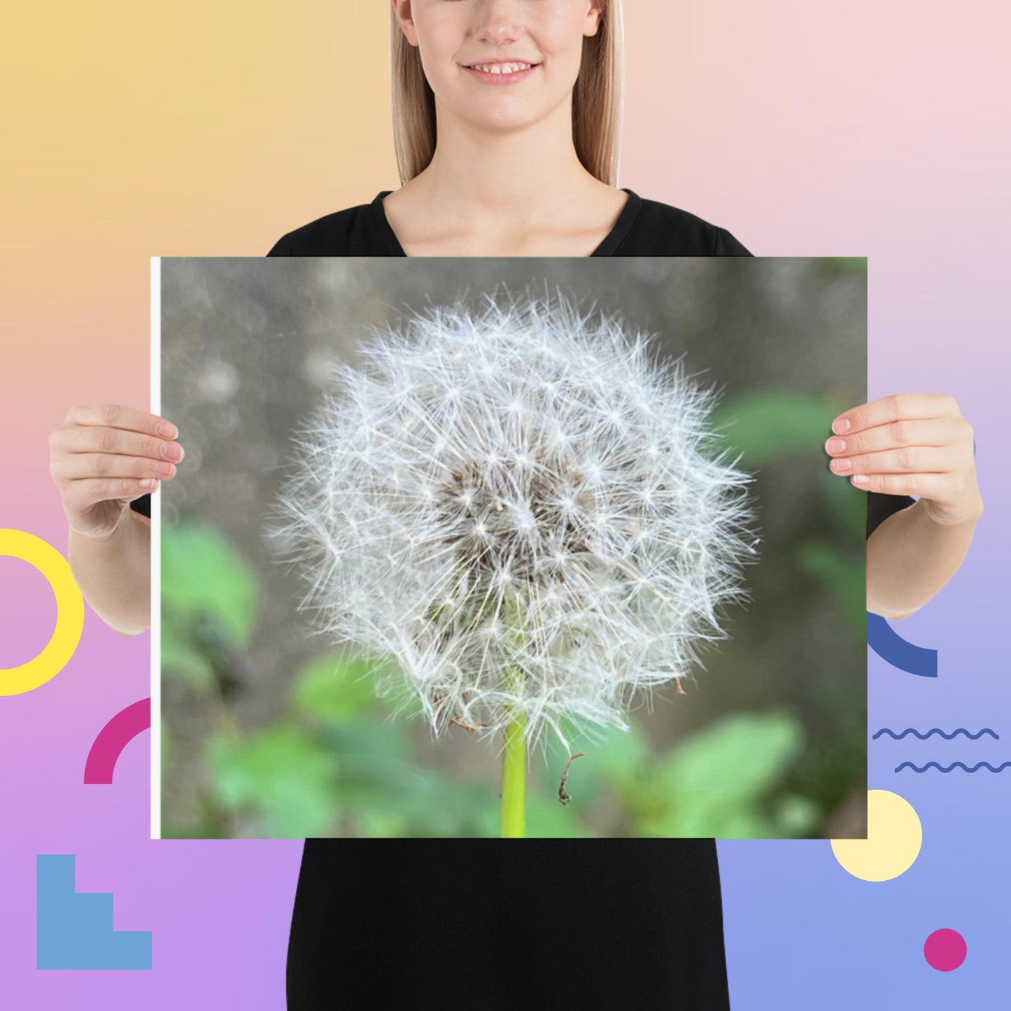 Dandelion Puff Poster