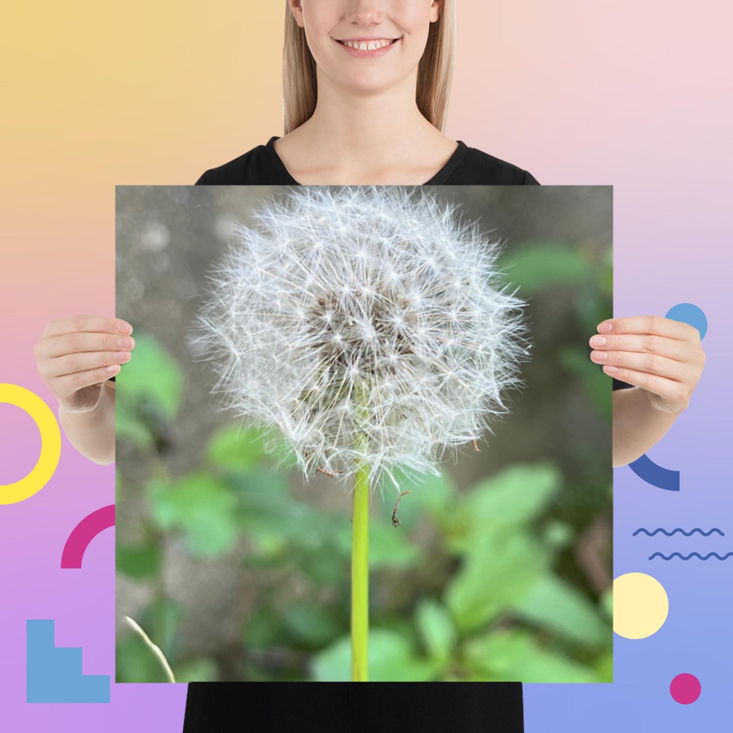 Dandelion Puff Poster