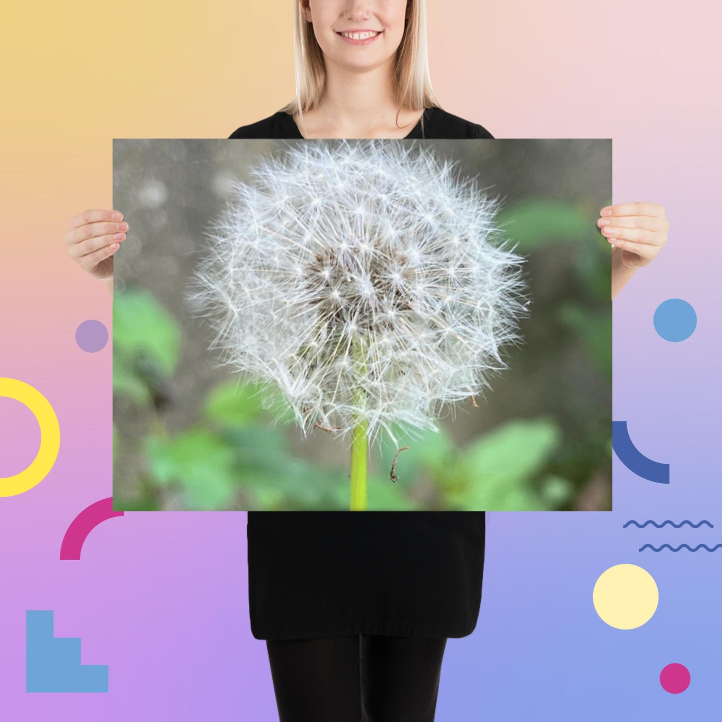 Dandelion Puff Poster